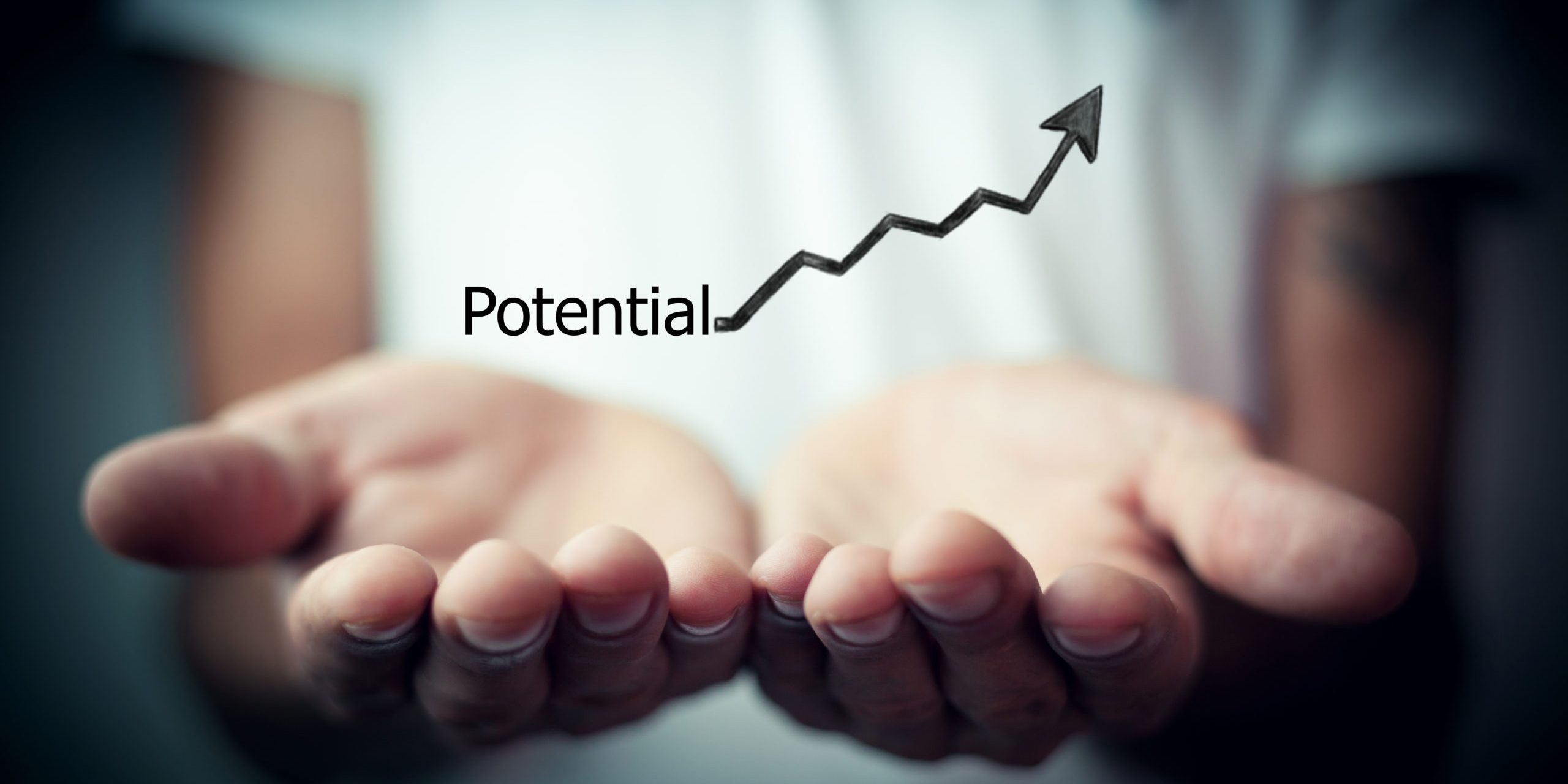 Woods Reddan councelling and coaching